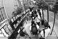 100605-dpc-New-York-City-the-Village-0729-video