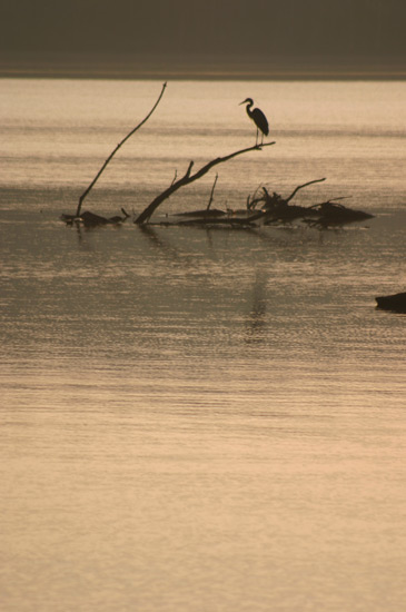Still of the Morning - out of the camera