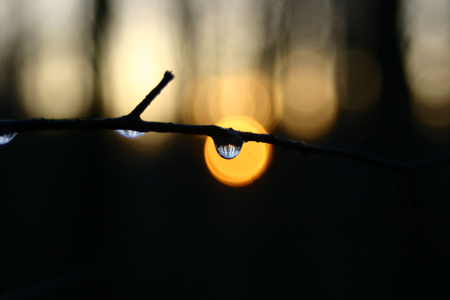 As Daylight Fades - Out of Camera