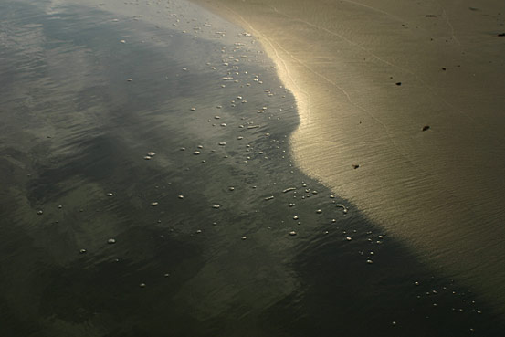 The Edge