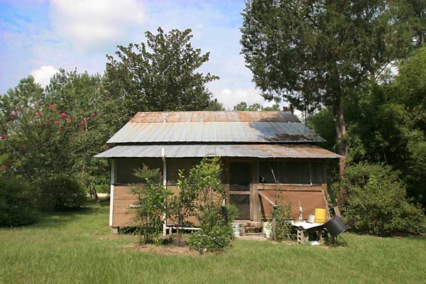 The Homestead
