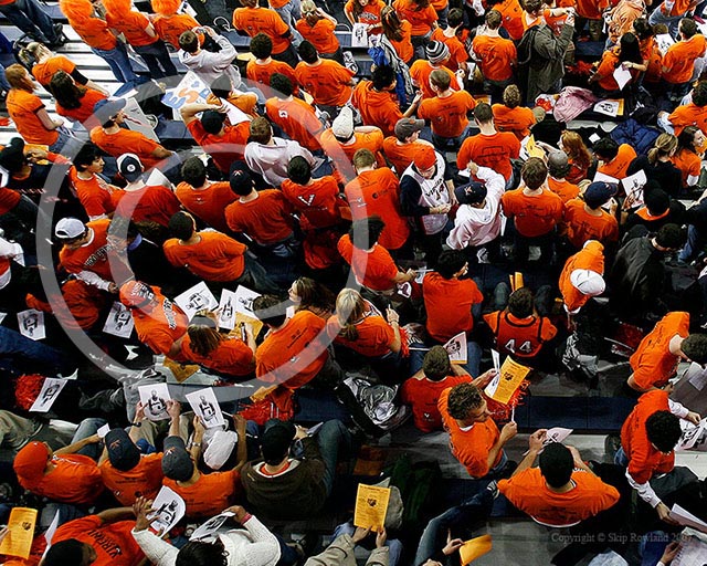 sea of orange