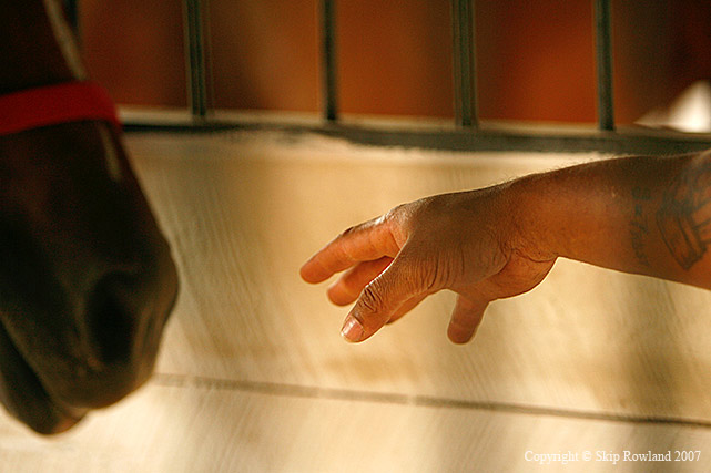 070906-JRWC-TRF-Horses-and-Inmates-0368-PREVIEW.jpg