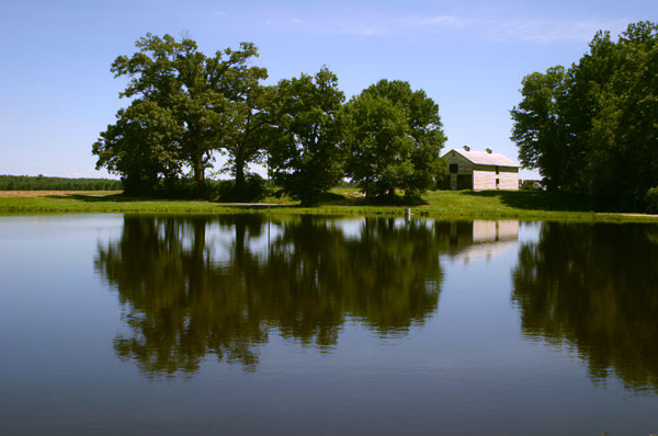 Farm Pond, King and Queen County