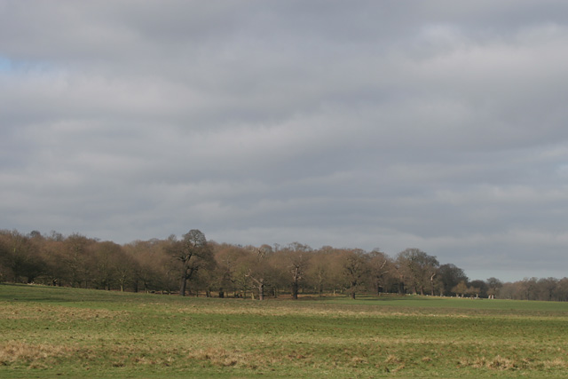 landscape_without_subject-original.jpg