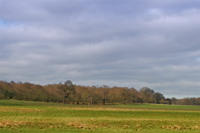 landscape_without_subject-attempt2.jpg