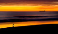 Before Sunrise