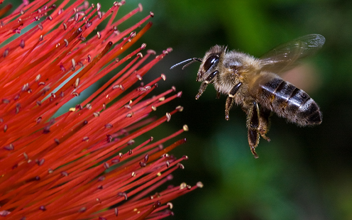 Working for the Queen