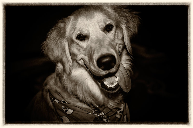 Bailey