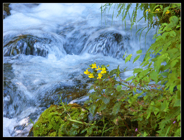 Wahkeena Falls