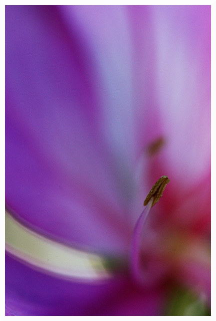 Emerging