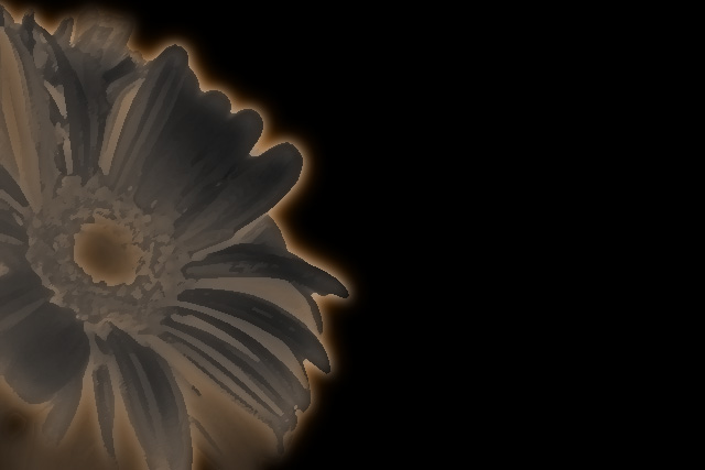 funnyflower.jpg