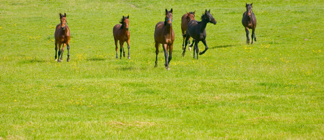 In Formation