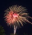 Firework Blossom