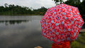 Umbrella