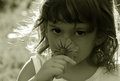 Aromas of Spring