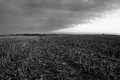 End of the Harvest