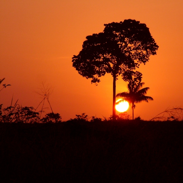 sunrise