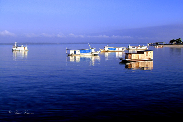 Reflections in Blue