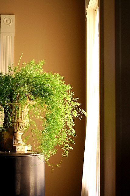 Vase on Grand Piano