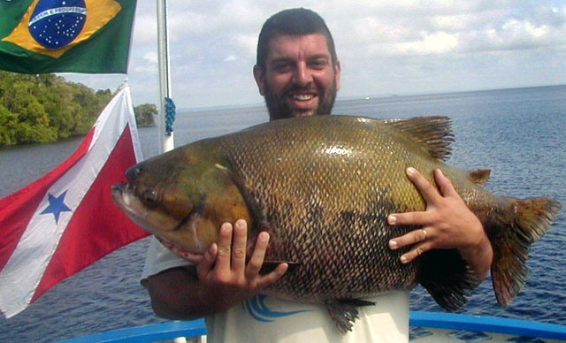 bud& fishdpc.jpg