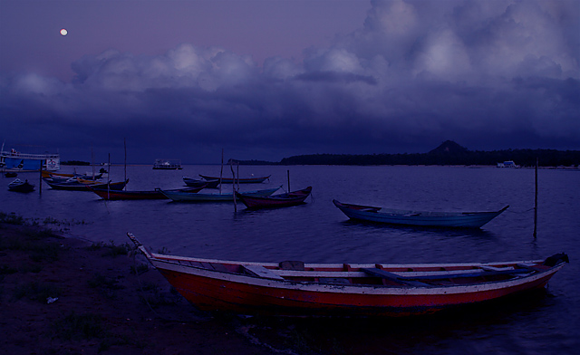 Moon Harbor