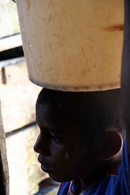 The Water Carrier