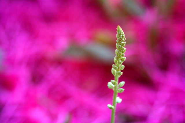 Standing Out