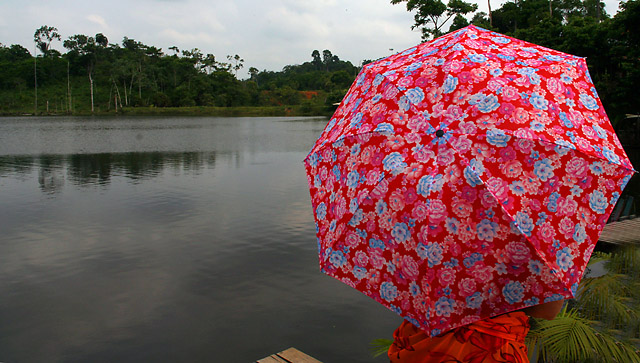 Umbrella