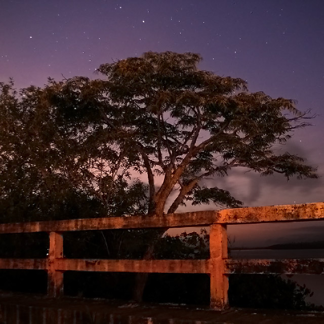 Day 22 - Tree & Stars