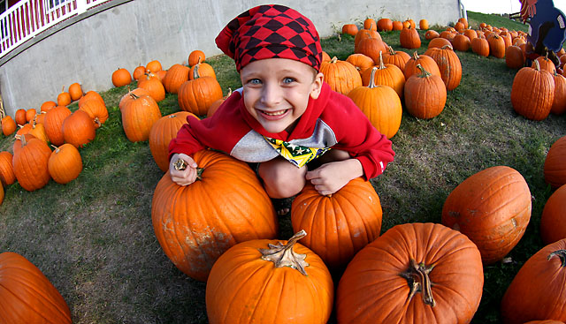Pumpkins the World Around