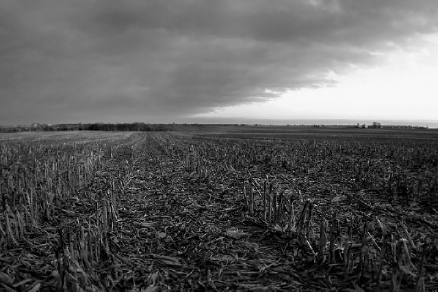 End of the Harvest