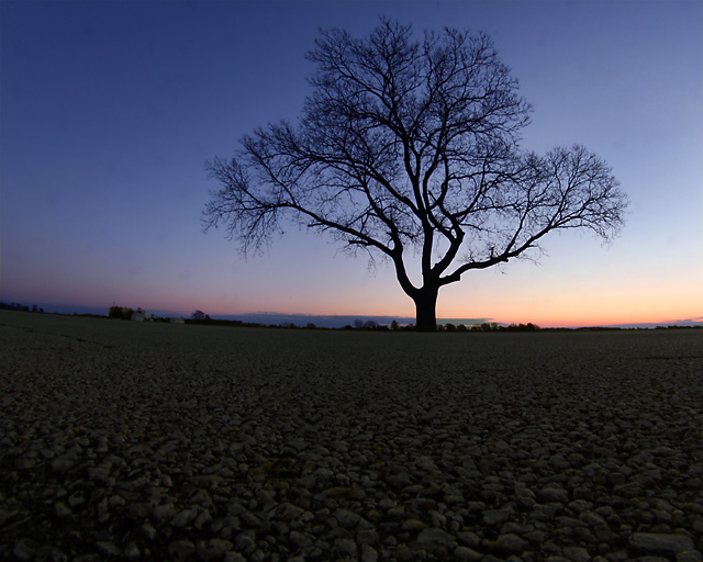 Alone