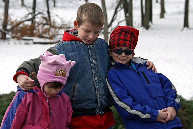 9 - Christmas Tree Shopping