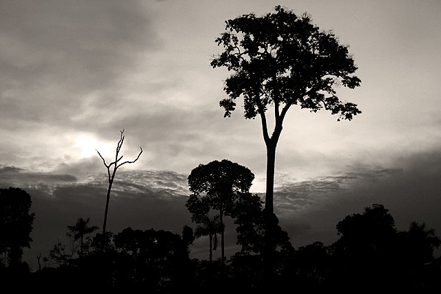 20 - Silhouettes