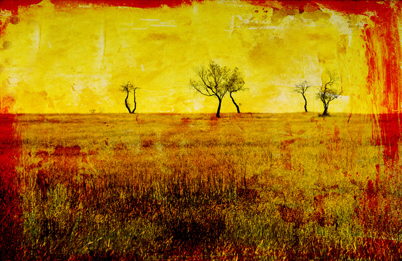 trees