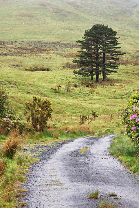 The road to nowhere