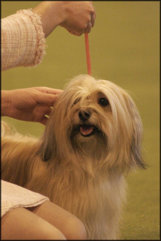 titch.jpg
