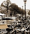 I Want to Ride my Bicycle