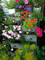 Flower Drawer