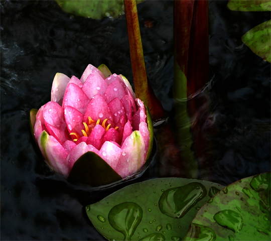 Water's Gift