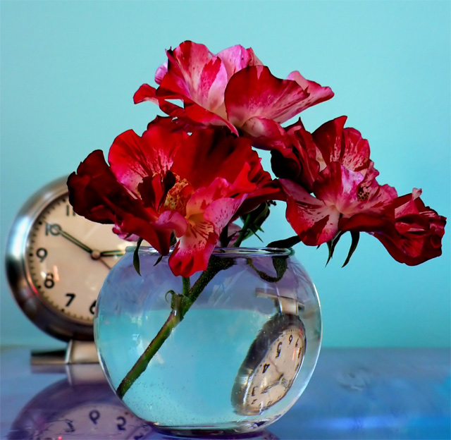 Reflected Time