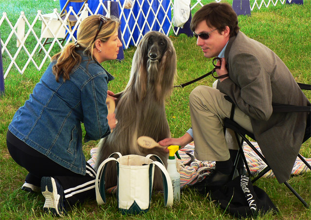 They Wanna Do What with my Hair????