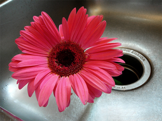 Down The Drain