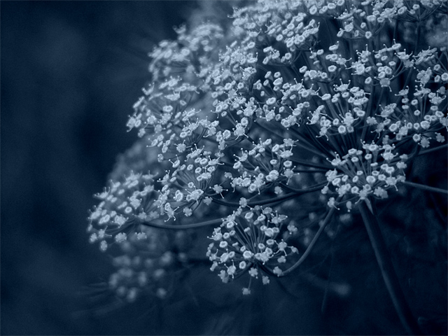 Day Twenty-Six