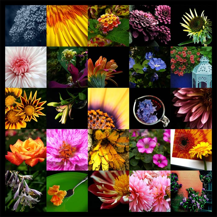 31 Days of Flowers