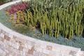 Cactus Garden at the Getty