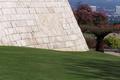 Grass at the Getty II