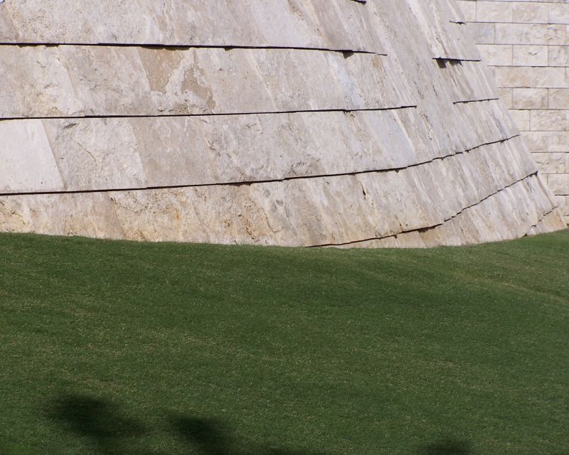 Grass at the Getty III