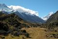 Valley Near Mt Cook